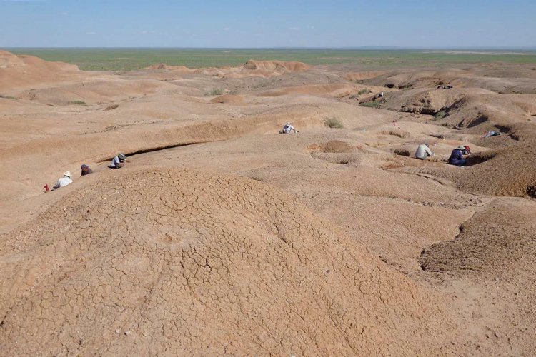 Výzkum na nalezišti v Gobi, kde před desítkami milionů let hnízdili dinosauři