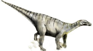 Dinosauři: Iguanodon, který žil v Česku 