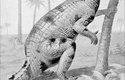 Obrázek iguanodona z konce 19. století. Autor ho nakreslil spíše jako podivného krokodýla. "Rohy" však už umístil správně na palce předních nohou
