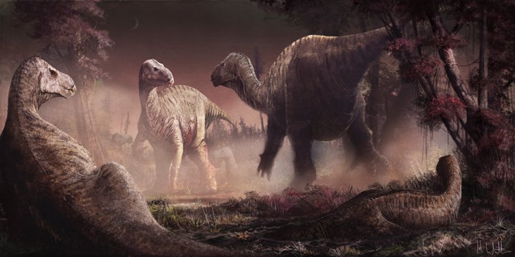 Podle dnešních poznatků mohl dinosaurus iguanodon chodit jak po dvou, tak po čtyřech (dole)