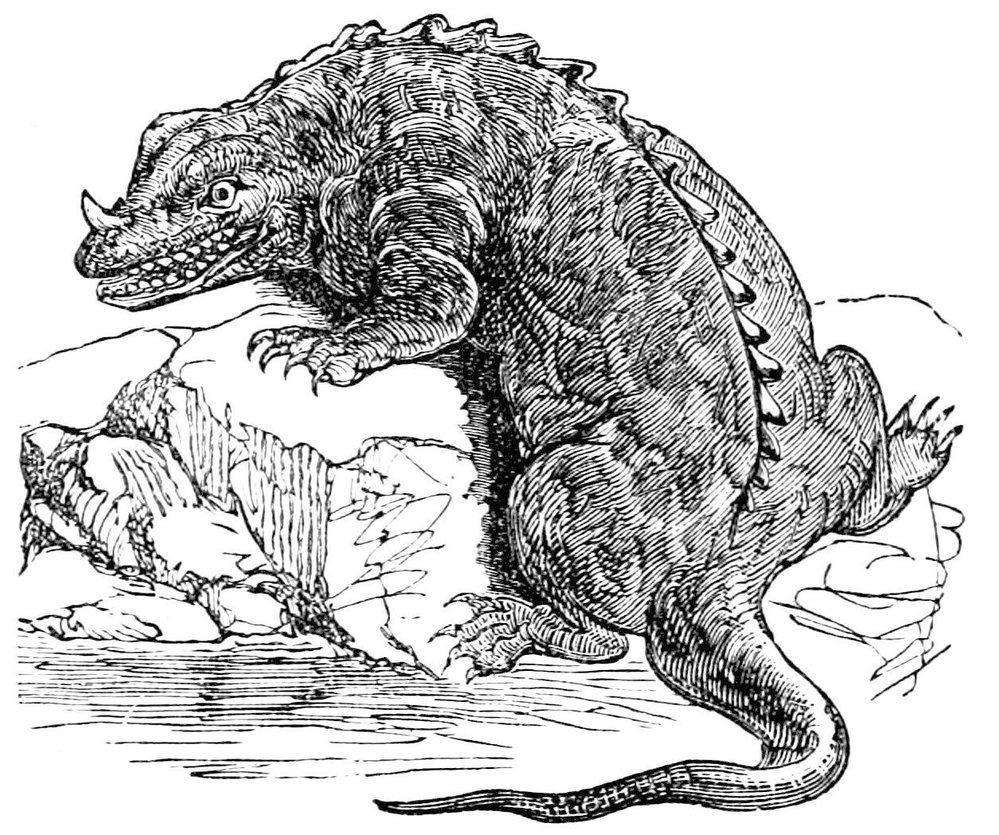 Původní rekonstrukce iguanodona z roku 1883. Vědci se domnívali, že žil ve vodě. Růžek na hlavě je chybně umístěný palec přední končetiny