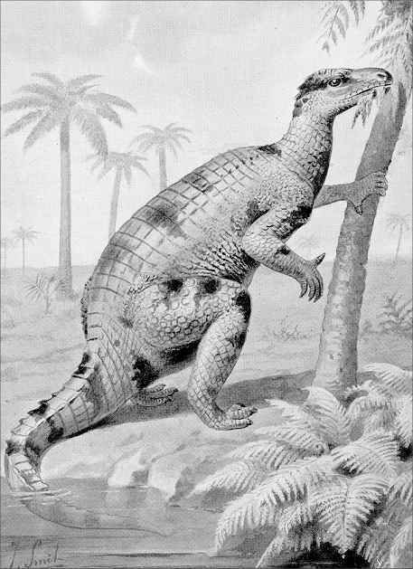 Obrázek iguanodona z konce 19. století. Autor ho nakreslil spíše jako podivného krokodýla. &#34;Rohy&#34; však už umístil správně na palce předních nohou