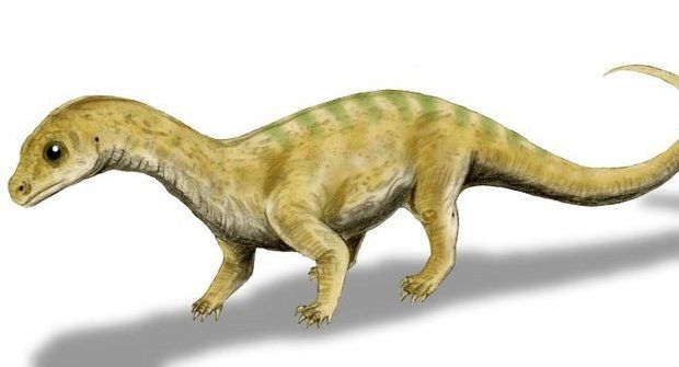 Nový druh dinosaura se skrýval v muzeu