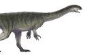 Čínský Jingshanosaurus byl jihoafrickému rodu vzdáleně příbuzný. Stejně jako on chodil v dospělosti pravděpodobně po dvou, ačkoliv se po vylíhnutí pohyboval spíše po všech čtyřech