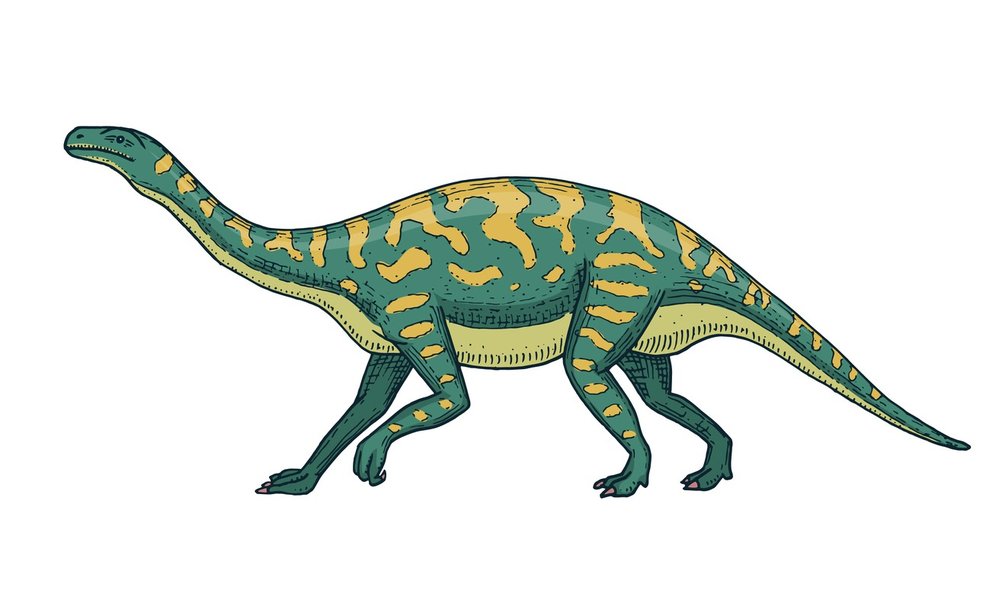 Přibližná podoba nového jihoafrického dinosaura. Oproti svým pozdějším příbuzným ze skupiny gigantických dlouhokrkých sauropodů byl jen štíhlým trpaslíkem. 