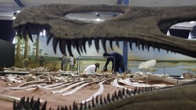 Anglie: Nalezli kosti obřího pliosaura!