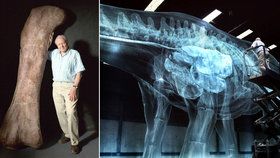 Britský dobrodruh David Attenborough a největší dinosaurus všech dob: Oživili titána!