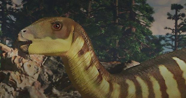 V Austrálii byl objeven nový druh dinosaura. Velký byl jako klokan