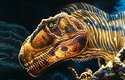 Až 1,6 m dlouhou lebku dinosaura Meraxe pokrývaly různé výstupky a prohlubně