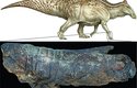 Mumifikovaná část končetiny edmontosaura ze svrchně křídového souvrství Hell Creek (USA) a jeho celková rekonstrukce