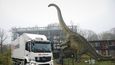 Dinosauří kosti převezla logistická firma DB Schenker ze Švýcarska do Nizozemska.