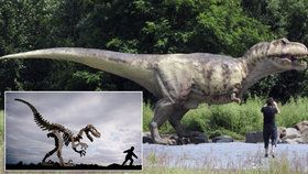 Ve Španělsku byl objeven nový druh dinosaura. Měl na hřbetě záhadný vějíř