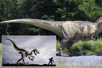 Ve Španělsku byl objeven nový druh dinosaura. Měl na hřbetě záhadný vějíř