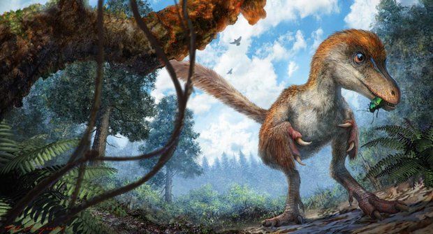 99 miliónů let staré dinosauří peří