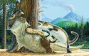 Savec Repenomamus napadl dinosaura a vzápětí je oba zasypal sopečný materiál