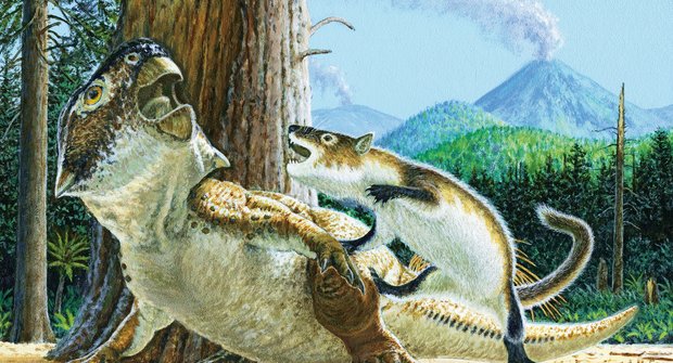 Zkamenělý útok: Drsný savec proti dinosaurovi