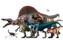 Na teropodních dinosaurech je změna pohledu vidět nejlépe: Z neohrabaných a tupých monster se stali inteligentní, rychlí a elegantní predátoři: Zleva Spinosaurus, Megalosaurus, Allosaurus, Tyrannosaurus rex a Ceratosaurus