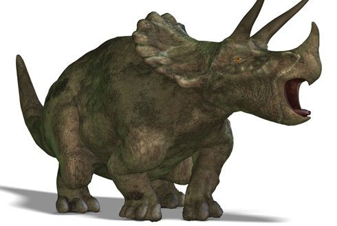 Zkamenělý roh posledního dinosaura&#34; patřil zřejmě zástupci rodu Triceratops