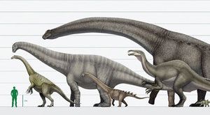 Jak zvážit dinosaura: Hmotnost pravěkých gigantů odhalena