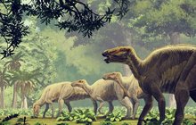 V početných stádech se býložravý Edmontosaurus proháněl po Zemi před 66 miliony let. Dávno po vymření druhu skončil v české metropoli. Obr přezdívaný Ed je k vidění v největším evropském muzeu svého druhu, v Dinosauriu Museu Prague.