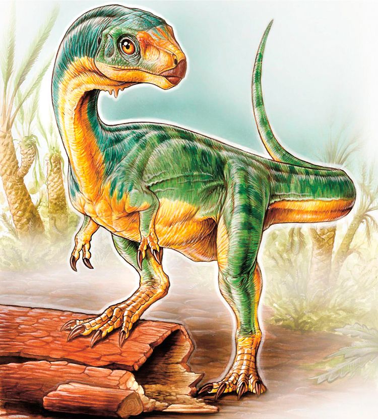 Diegův dinosaurus žil před 145 miliony let a byl docela podivný