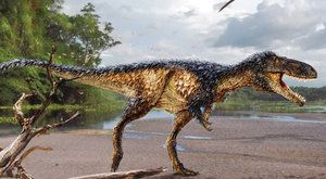 Tyranosaurid, na kterém by se dalo jezdit 