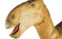 Dinosauři zanechali stopy i v Česku
