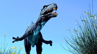 Odhalení slovenských vědců: Kdo jedl dinosauří bobky? Odhalení slovenských vědců: Kdo jedl dinosauří bobky?