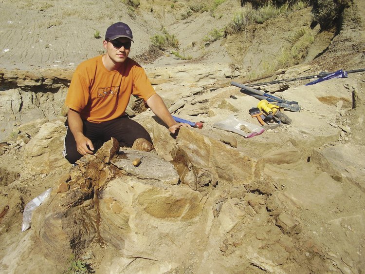 Vykopej si svého dinosaura