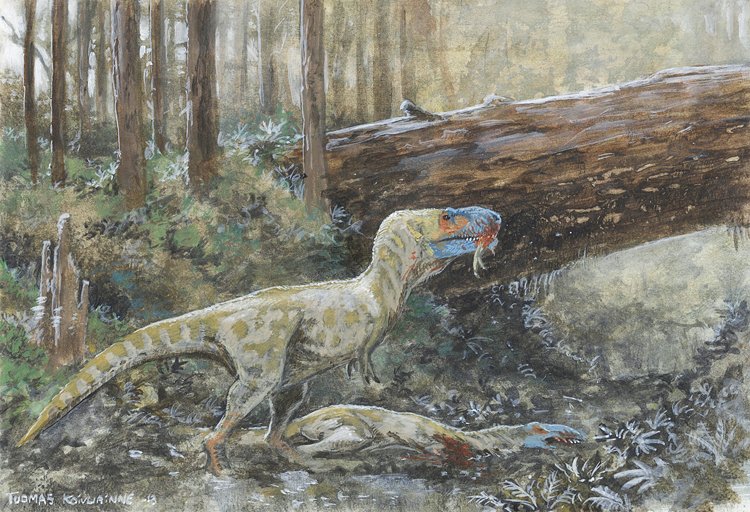 Jeden dinosaurus Daspletosaurus sežral druhého. Svědčí o tom stopy zubů na lebce, které vznikly posmrtně