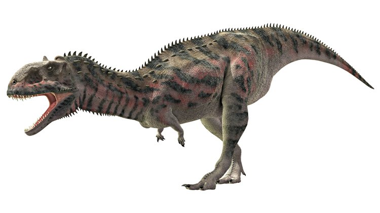 Dinosaurus Majungasaurus žil na samém konci křídy. Kanibalismus je u něj dobře prokázaný