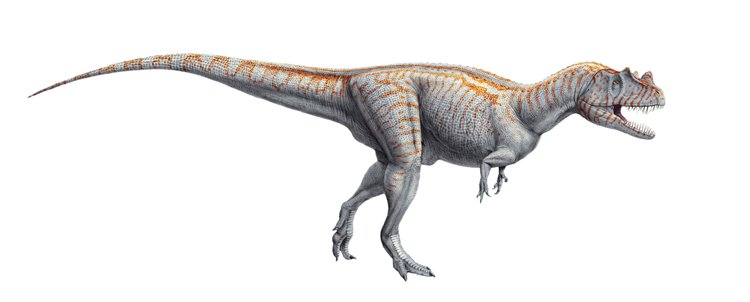 Jurští dinosauři ceratosauři měřili na délku 6až7metrůavážiliaž700kg. Pravděpodobně lovili ve skupinách