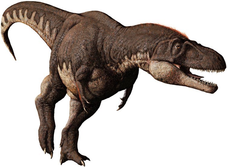 Dospělý severoamerický dinosaurus Dapletosaurus měřil až 10 metrů avážil3tuny