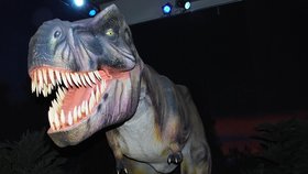 Mezi pohyblivými řvoucími exponáty nechybí ani známý Tyrannosaurus Rex.