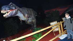 Strašlivého Tyrannosaura Rexe si přišel prohlédnout i šestiletý Honzík.