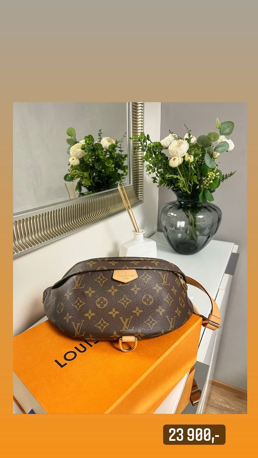 Kabelka Louis Vuitton (Původní cena 38 800 Kč)