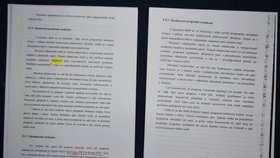 Stránky s textem jsou opsané. Někde dokonce i s gramatickými chybami. Tady např. mladistvý (správně mladiství).