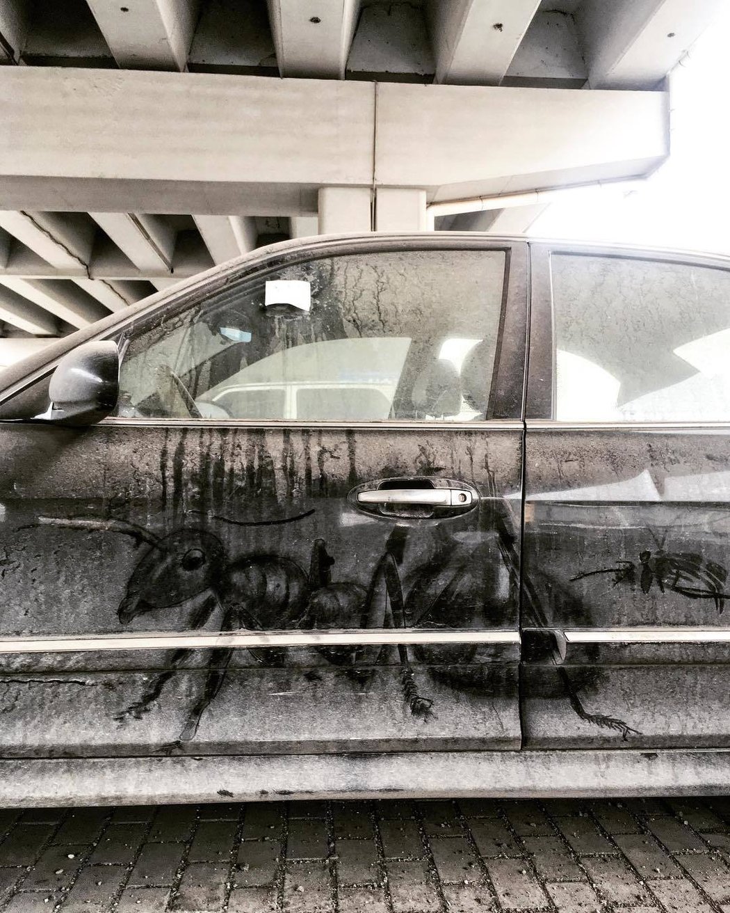 Dirty Car Art