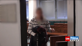 Aneta Š. z Děčínska před soudem za zmrzačení novorozence