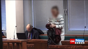 Aneta Š. z Děčínska před soudem za zmrzačení novorozence