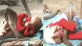 Dítě spí poklidně na lehátku obklopené čtyřmi kobrami