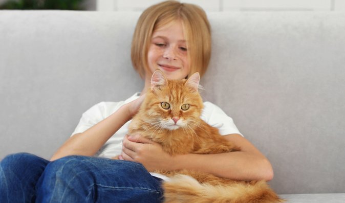 Felinoterapie: Kočka jako zvířecí terapeut