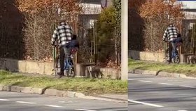 „Cyklista roku": Batole vezl na kole v košíku na nákup!