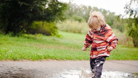 Pořádná zima se do Česka v dalších týdnech nevrátí, podle výhledu Českého hydrometeorologického ústavu má být totiž počasí až do poloviny března nadprůměrně teplé.