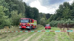 Žena (32) z Jičínska vešla pod jedoucí vlak i s novorozencem: Policie pokus o vraždu odložila