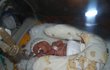 Prosinec 2008 Janinka byla po porodu jako drobeček, vážila 564 gramů. Neměla vyvinuté plíce, zrak a většinu orgánů. Lékaři jí dávali procento naděje