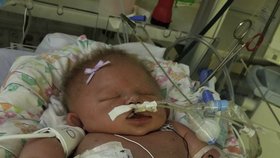 Malá Mariana zemřela na virovou meningitidu. Virus zřejmě chytla z polibku.