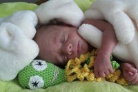 Pletené chobotničky pomáhají předčasně narozeným dětem: Shání se po nich i české porodnice