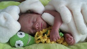 Pletené chobotničky pomáhají předčasně narozeným dětem: Shání se po nich i české porodnice