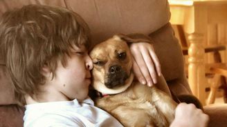 Komentář: Když se máma s tátou rozhodují, zda pořídit domácího mazlíčka Komentář: Když se máma s tátou rozhodují, zda pořídit domácího mazlíčka